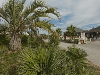 Bienvenu au camping le Palmira Beach Valras Plage